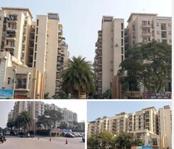3 BHK Apartment For Sale in BPTP Park Elite Premium