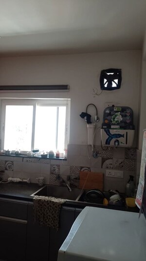 Team Area in 3 BHK Builder Floor at Vipul World Floors, Sector 48 – for Rent