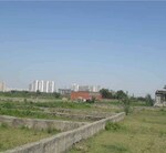 184 Sq.Yd. Plot in Sector 16 A