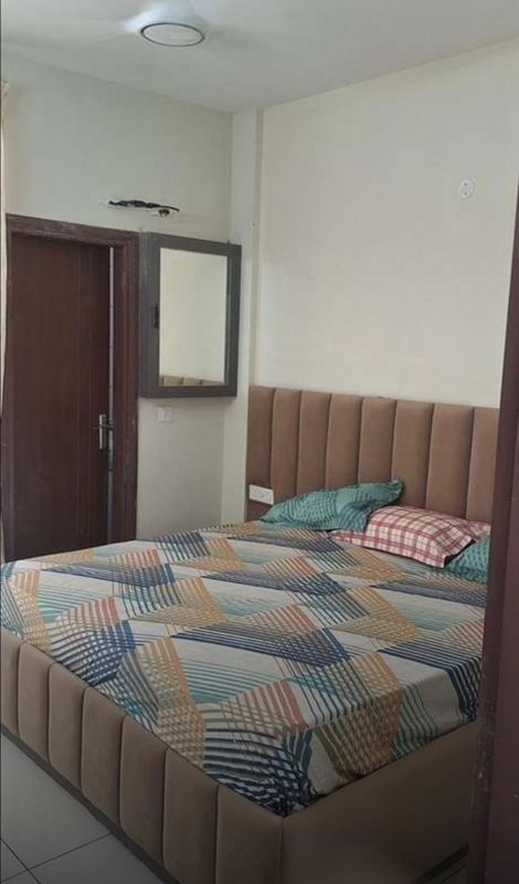 2 BHK Apartment For Rent in SBP City Of Dreams Zirakpur