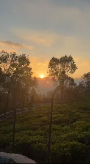  Plot For Sale in Kotagiri