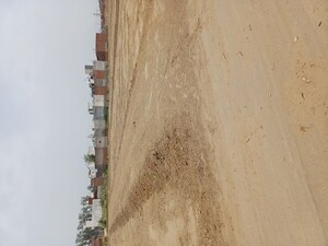 Plot Area in  Plot at Karnera Village – for Sale