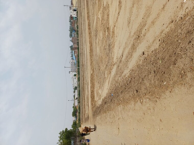 undefined, karnera village  64 Sq.Yd. Plot In Karnera Village Faridabad 10417353