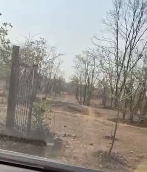 Plot Area in  Plot at Mangaon – for Sale
