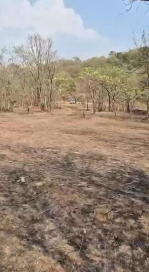 Plot Area in  Plot at Mangaon – for Sale