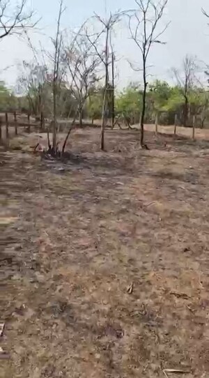 Plot Area in  Plot at Mangaon – for Sale
