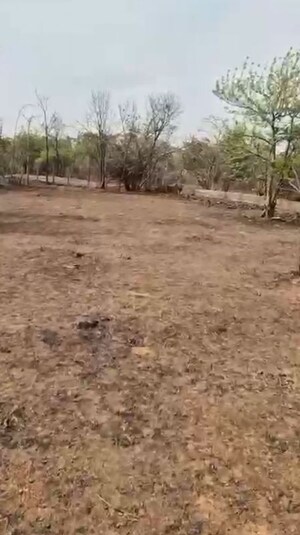 Plot Area in  Plot at Mangaon – for Sale