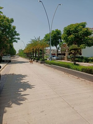 3.5 BHK Apartment – Exterior View View at Omaxe Silver Birch, North Mullanpur - for Sale