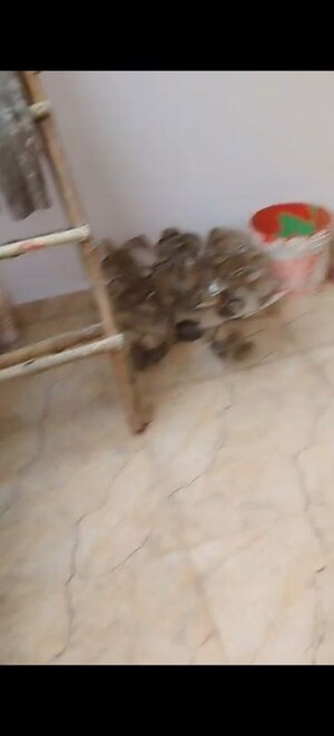 Staircase in 2 BHK Builder Floor at Shalimar Garden Extension I – for Sale