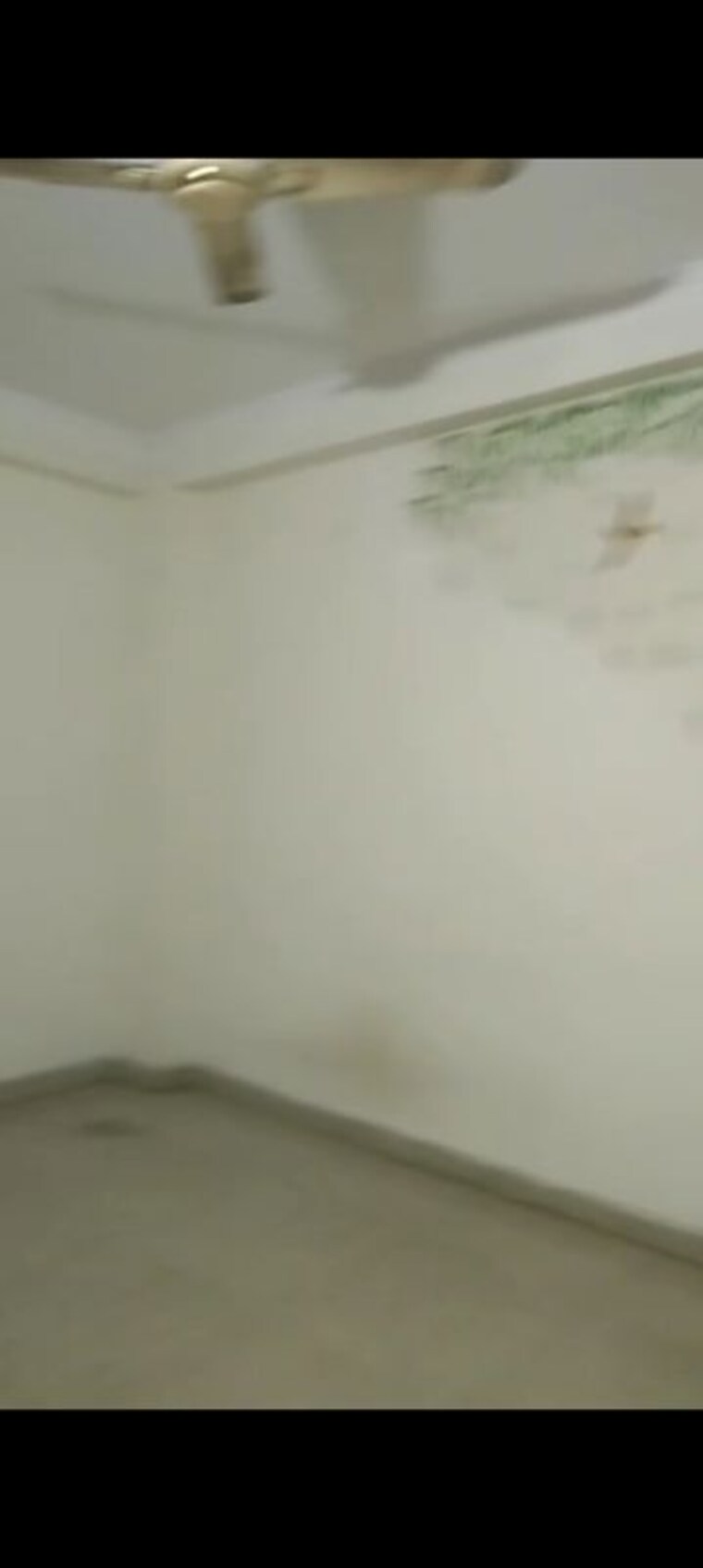 Room, vasant kunj 1 Bedroom 500 Sq.Ft. Builder Floor In Vasant Kunj Delhi 10418269