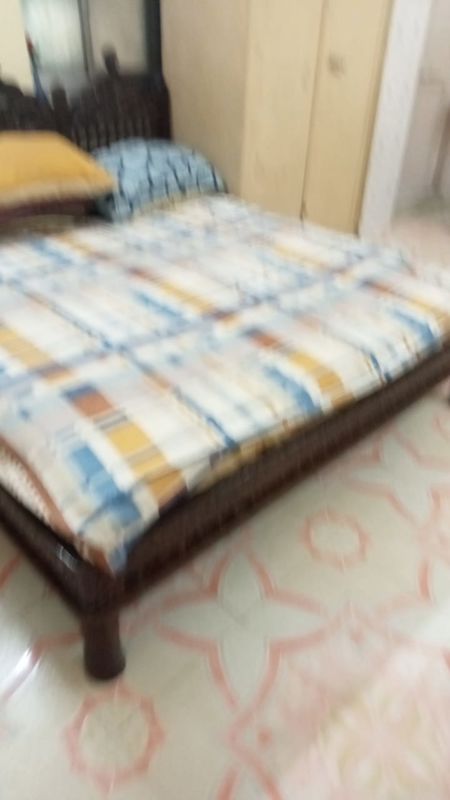 1 BHK Apartment For Rent in Navpada