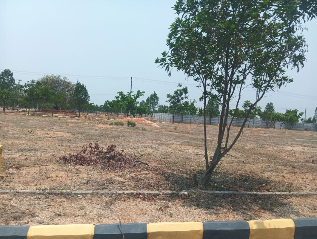 Plot For Sale in CBC Cosmopolis
