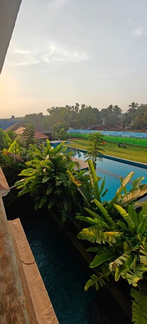 3 BHK Villa – Garden View at Chapora - for Sale