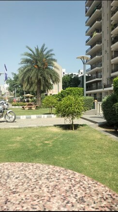 3 BHK Apartment For Rent in RPS Auria