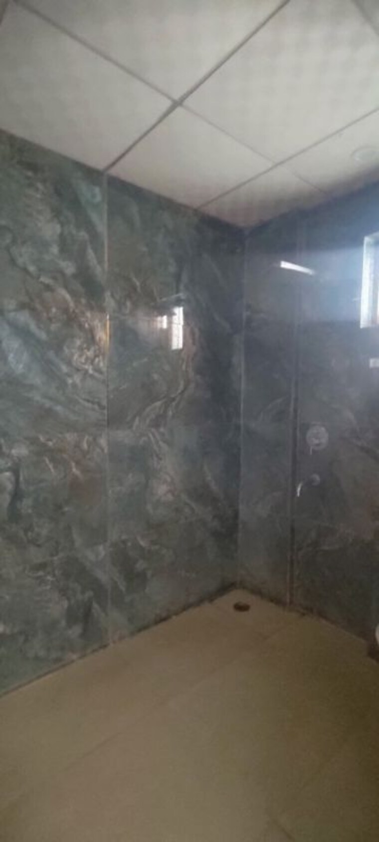 Bathroom, sector 85 3 Bedroom 260 Sq.Yd. Builder Floor In Sector 85 Faridabad 10418687
