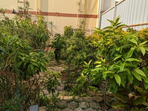 2 BHK Independent House – Exterior View View at New Siddhapudur - for Sale