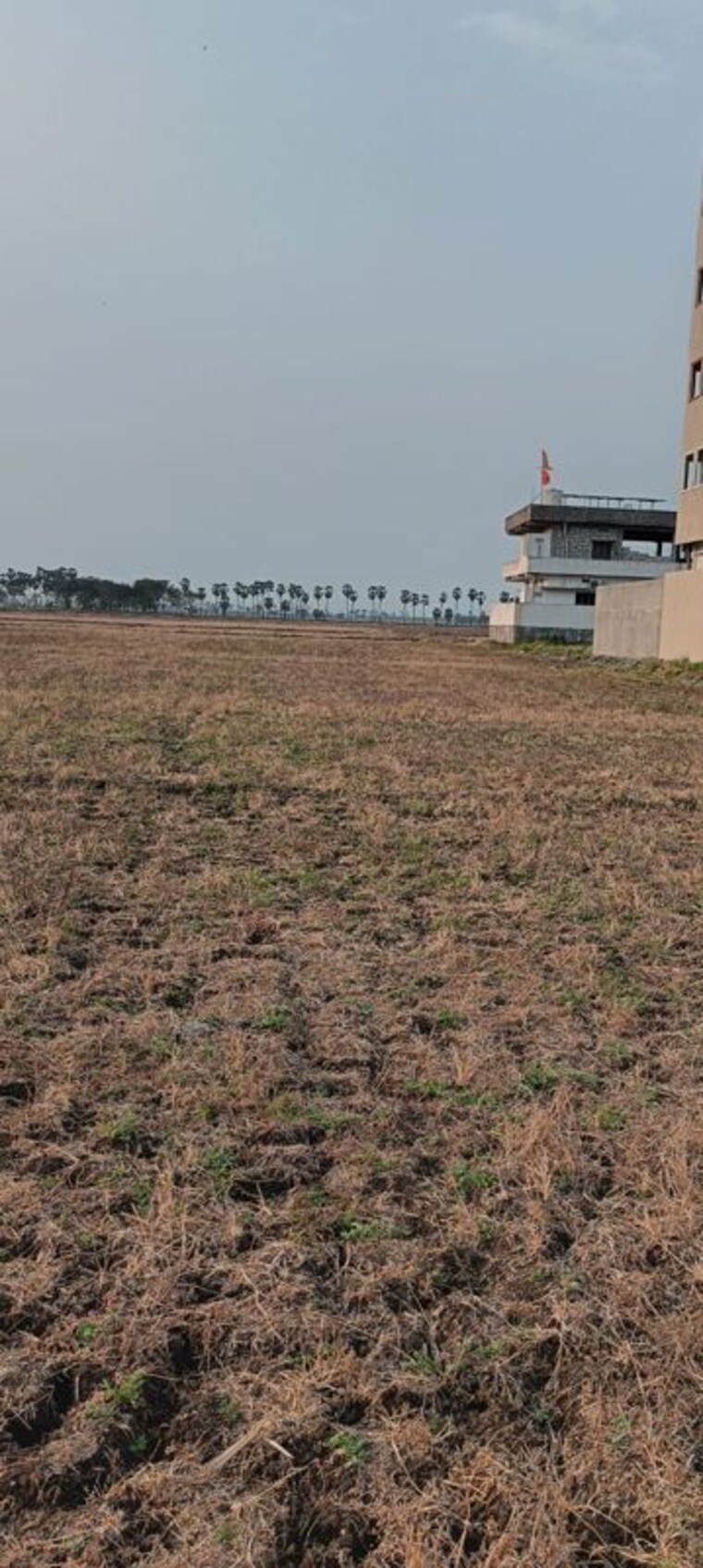 undefined, vuyyuru  200 Sq.Yd. Plot In Vuyyuru Vijayawada 10418775