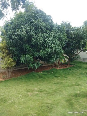 3 BHK Villa – Garden View at Kamandoddi - for Sale
