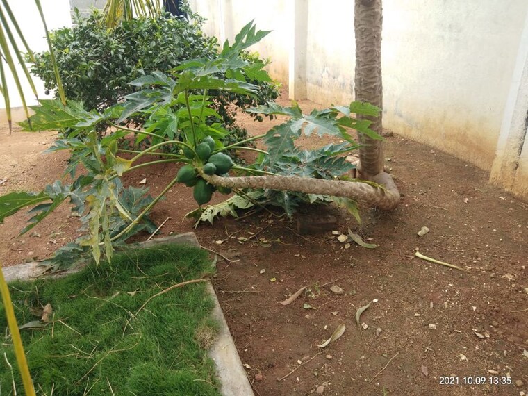 Balcony, kamandoddi 3 Bedroom 1000 Sq.Ft. Villa In Kamandoddi Hosur 10418864