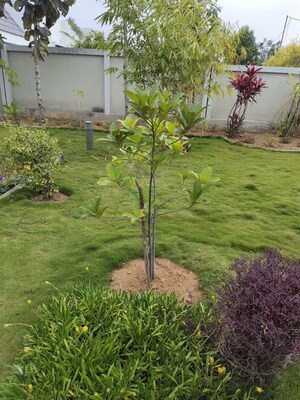 3 BHK Villa – Garden View at Kamandoddi - for Sale