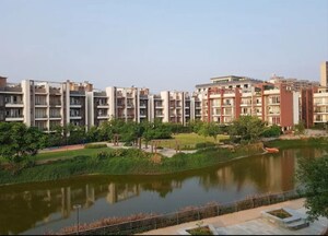 Swimming Pool in 3 BHK Builder Floor at Adani Samsara Ivana, Sector 63 – for Sale