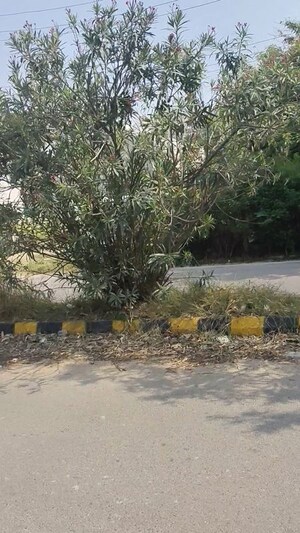 Plot Area in  Plot at Vrindavan Yojna – for Sale