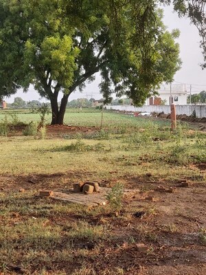 Plot Area in  Plot at Pachgain Khera – for Sale