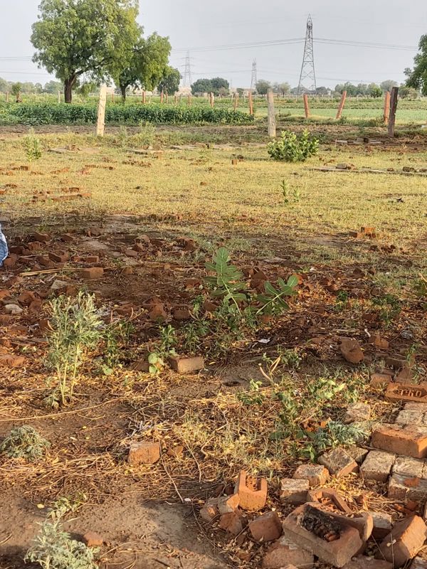 Plot For Sale in Pachgain Khera