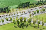175 Sq.Yd. Plot in Pirthla