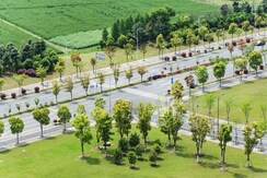 Plot For Sale in Pirthla
