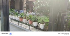 3 BHK + Study Room Independent House For Rent in Sector 4