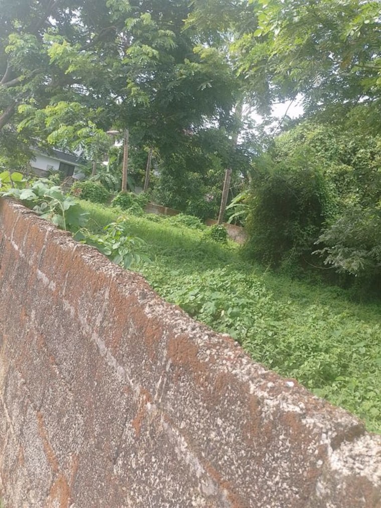 undefined, peramangalam  5227 Sq.Ft. Plot In Peramangalam Thrissur 10419269