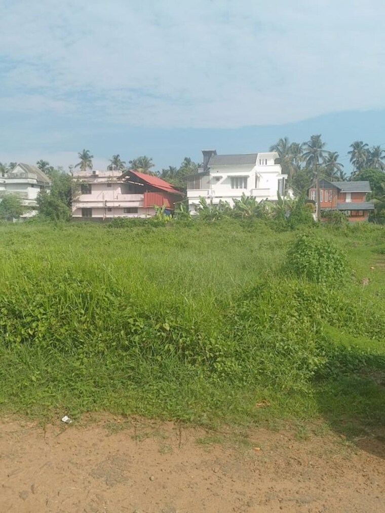 Exterior View, peramangalam  5227 Sq.Ft. Plot In Peramangalam Thrissur 10419269