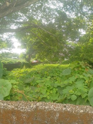 Plot Area in  Plot at Peramangalam – for Sale