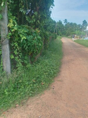  Plot – Garden View at Peramangalam - for Sale