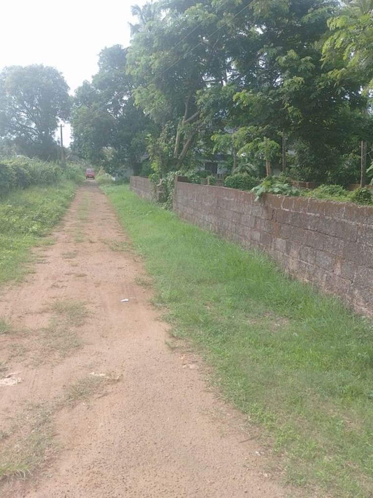 undefined, peramangalam  5227 Sq.Ft. Plot In Peramangalam Thrissur 10419269