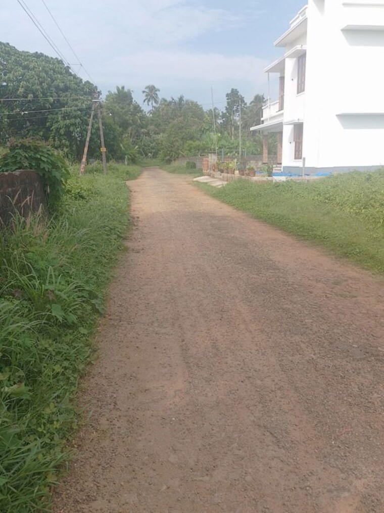Garden, peramangalam  5227 Sq.Ft. Plot In Peramangalam Thrissur 10419269