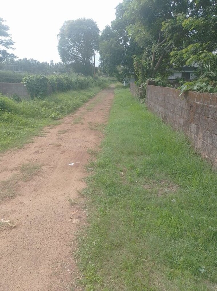 undefined, peramangalam  5227 Sq.Ft. Plot In Peramangalam Thrissur 10419269