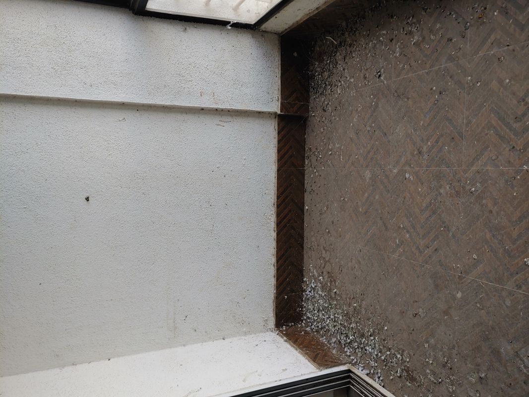 2 BHK + Servant Room 1000 Sq.Ft. Apartment in Galaxy Vineet