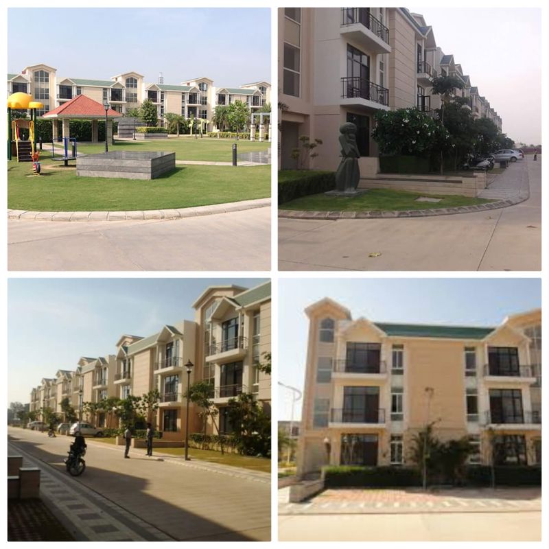 3 BHK 1180 Sq.Ft. Builder Floor in Omaxe Silver Birch