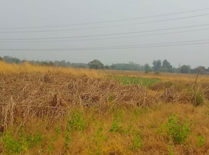 Plot Area in  Plot at Chirner – for Sale