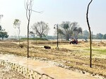728 Sq.Ft. Plot in Mohanlalganj