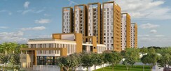 3 BHK Apartment For Rent in Salarpuria Sattva Exotic