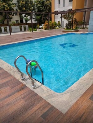 Swimming Pool in 3 BHK Apartment at Salarpuria Sattva Exotic, Kogilu – for Rent