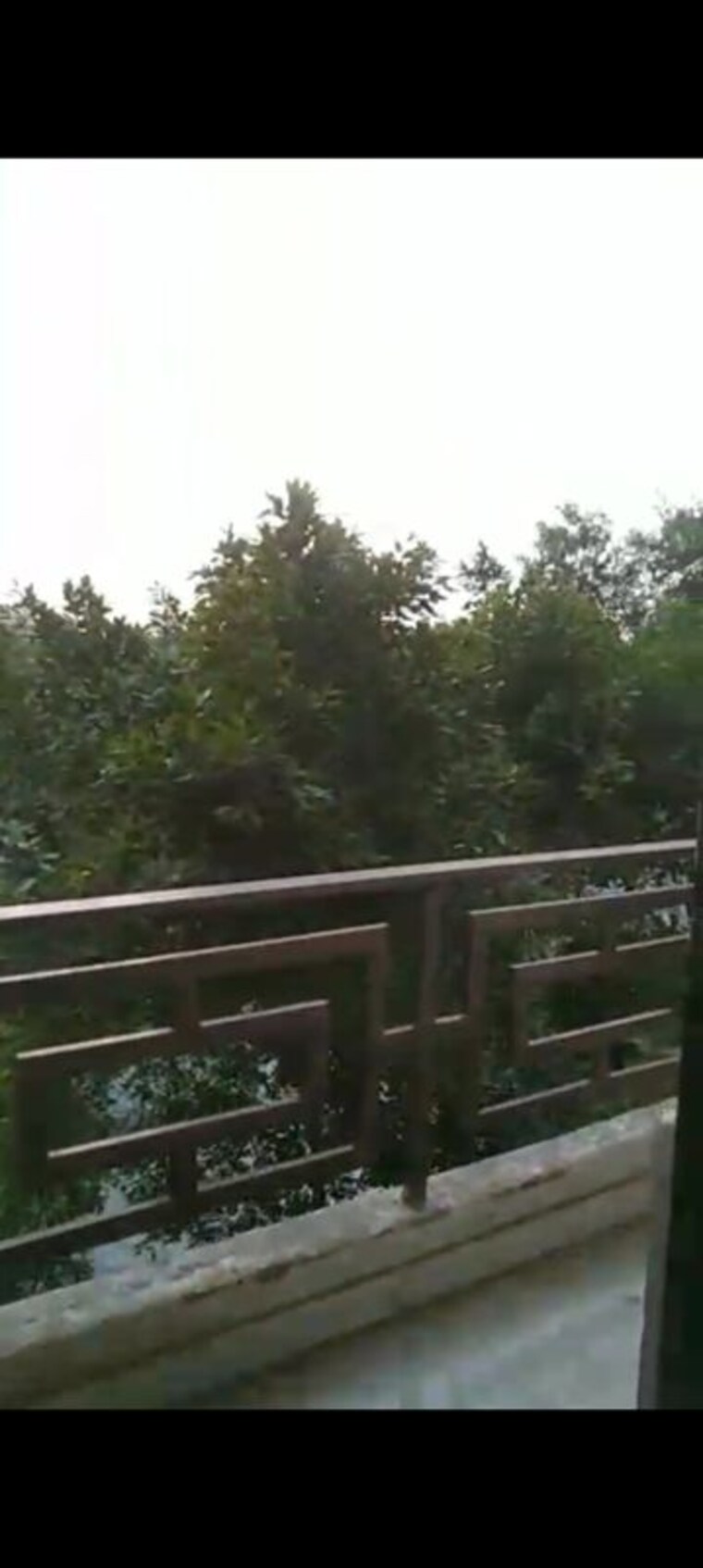 Balcony, vasant kunj 2 Bedroom 750 Sq.Ft. Builder Floor In Vasant Kunj Delhi 10420064