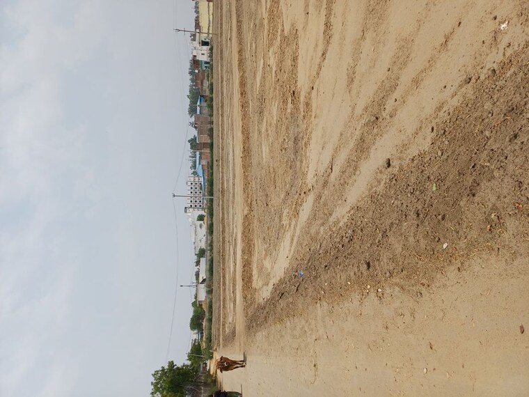 undefined, karnera village  66 Sq.Yd. Plot In Karnera Village Faridabad 10420298