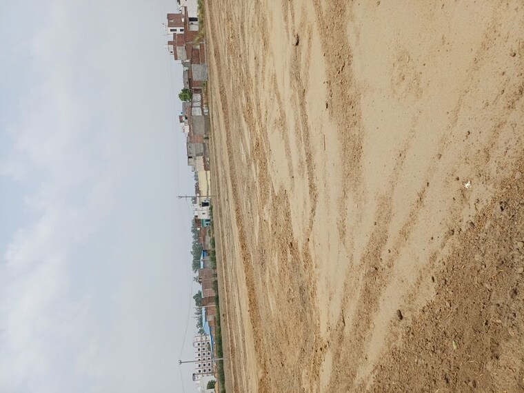 undefined, karnera village  67 Sq.Yd. Plot In Karnera Village Faridabad 10420308