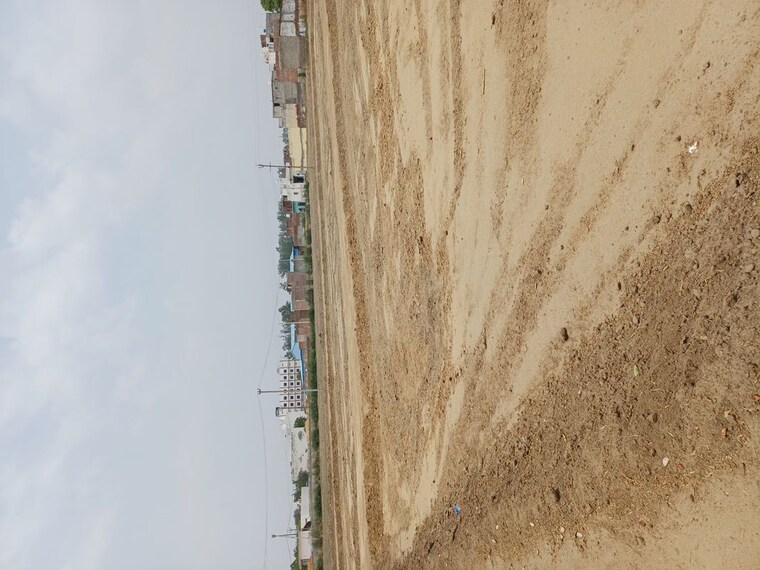 undefined, karnera village  67 Sq.Yd. Plot In Karnera Village Faridabad 10420308