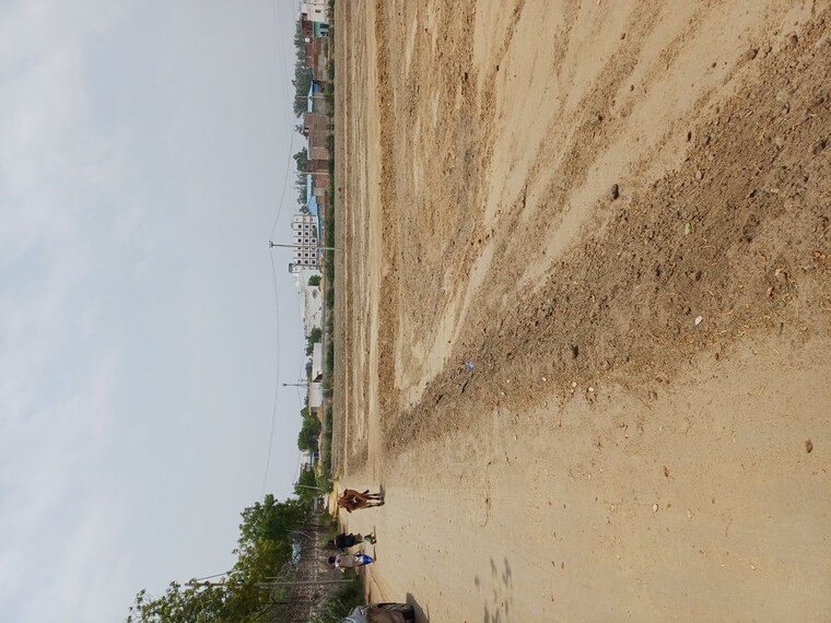 undefined, karnera village  67 Sq.Yd. Plot In Karnera Village Faridabad 10420308