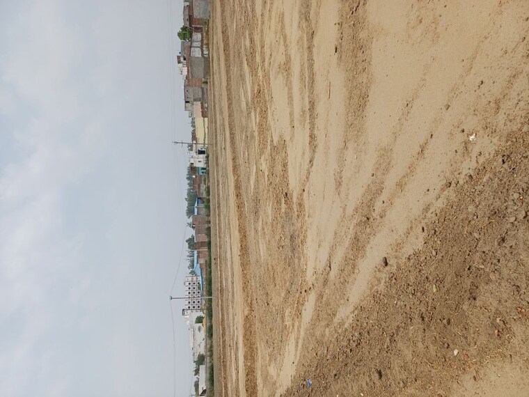undefined, karnera village  69 Sq.Yd. Plot In Karnera Village Faridabad 10420328